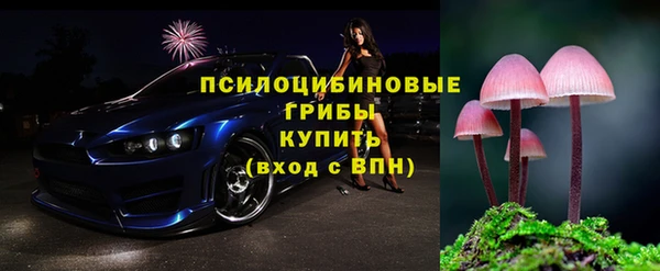 дурь Осташков