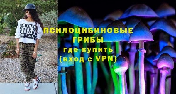 прущая мука Няндома
