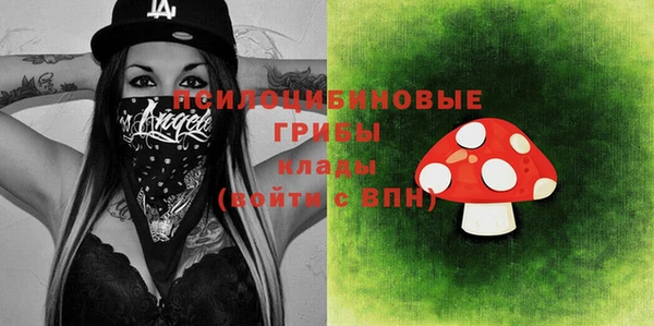 apvp Остров