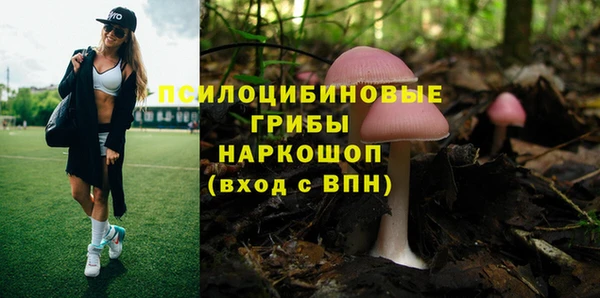 круглые Нягань