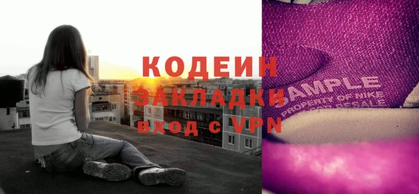 дурь Осташков